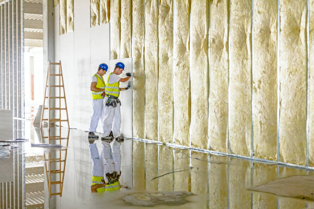 Best Insulation Air Sealing  in Antwerp, OH